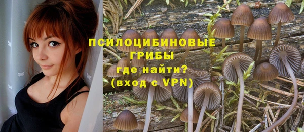 МДПВ Алексин